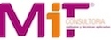 logo Consultoria MiT